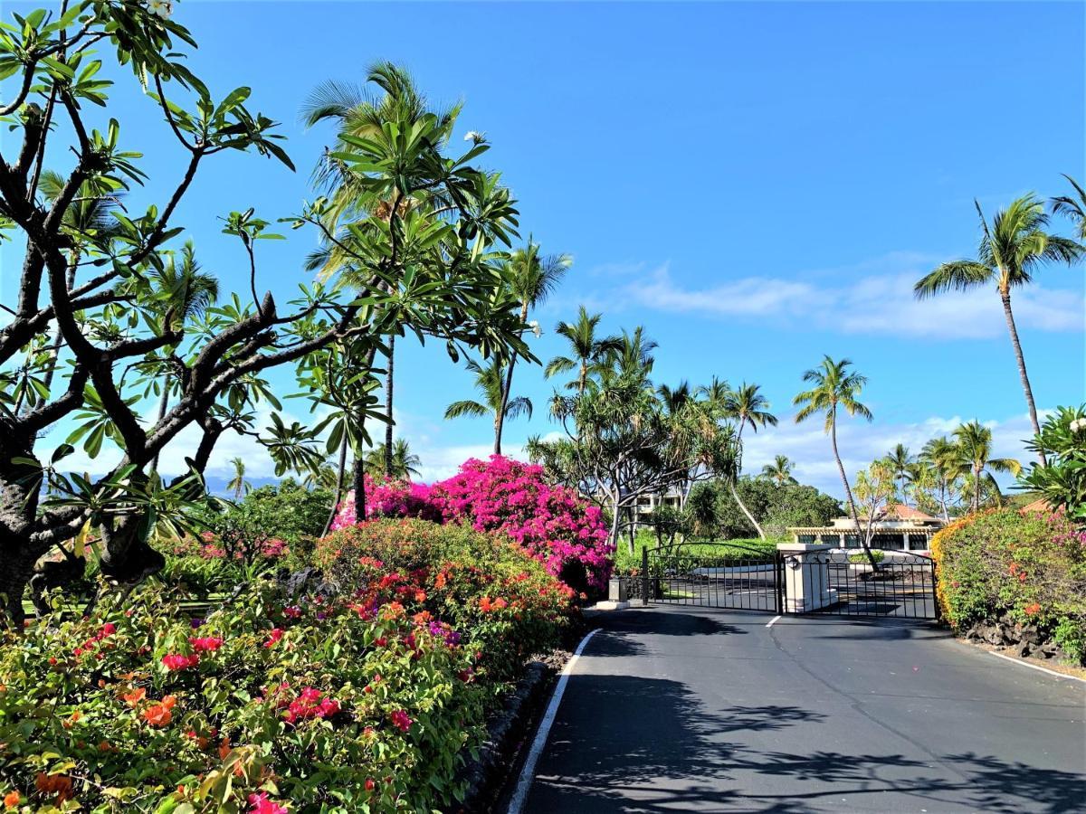 Coconut At Shores - Waikoloa Beach Resort Eksteriør bilde